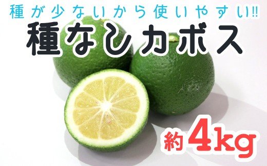 【先行予約】種が少ないから使いやすい！佐々木さんの「種無し（小種）かぼす」約4kg