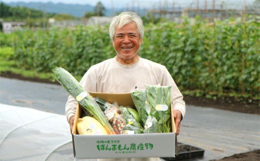 化学合成農薬等不使用で栽培！安心安全な「ほんまもん野菜」を10品目前後お届け♪