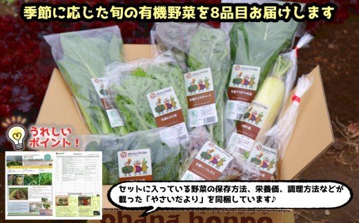 有機JAS認証★ohana本舗厳選オーガニック野菜セット（8品目）