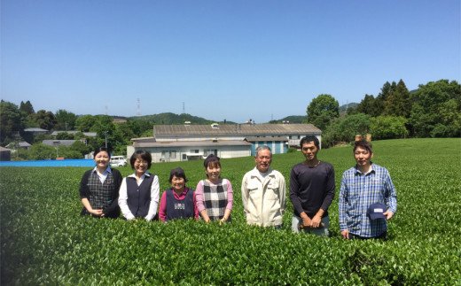 有機かぼすをふんだんに使ったブレンドティー「有機緑茶かぼすぶれんど」（ティーバッグ）3個セット