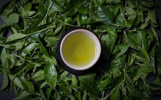 さっぱりとした爽やかな喉ごしの有機緑茶♪高橋製茶の「みのりの茶」ギフトセットＡ
