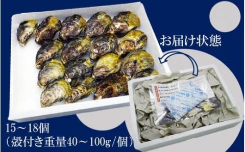 【予約受付開始】生食用殻付き牡蠣「Ostra Kunisaki」15～18個（殻付き重量40～100g/個）_2112R