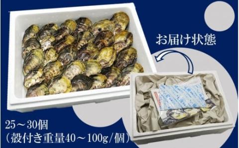 【予約受付開始】生食用殻付き牡蠣「Ostra Kunisaki」25～30個（殻付き重量40～100g/個）_2113R