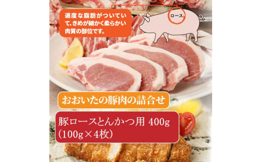 大分県豚肉スタミナ元気セット2.9kg_1829R
