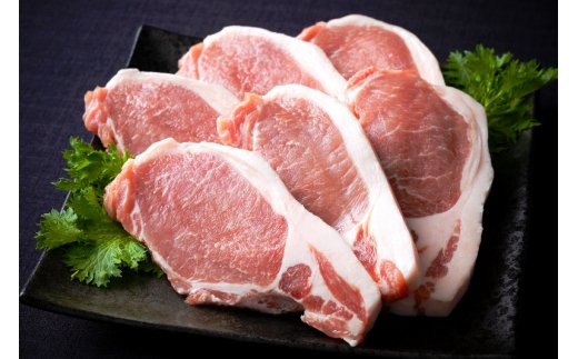旨い大分県産豚でとんかつ26枚食べ放題！ロース＆ヒレ肉2.1kg