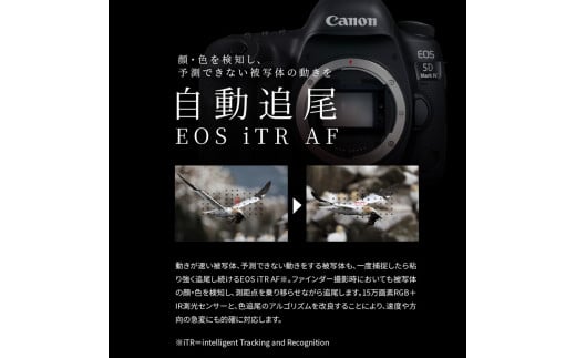  キヤノン一眼レフカメラ(EOS5DMarkIV（WG）ボディ)_0009C