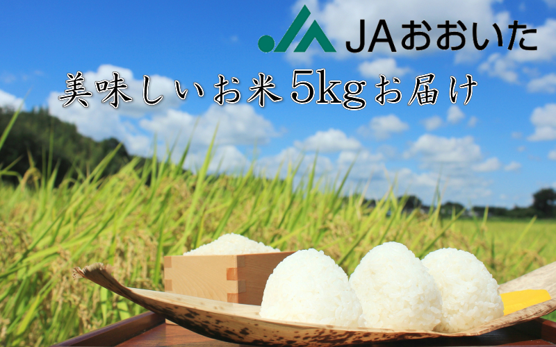 【先行予約・令和6年産新米】JA美味しいお米/5kg（ひとめぼれ）_1663R