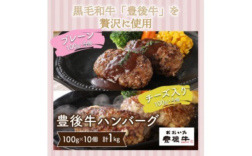 豊後牛ハンバーグ「プレーンとチーズ入り」1kg_1202R