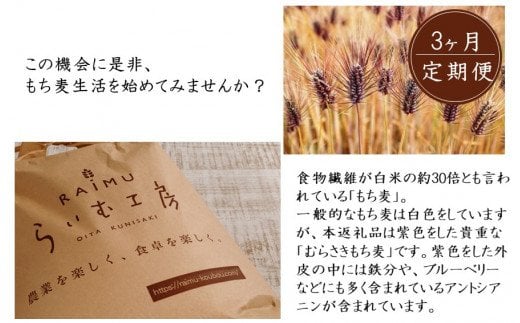 食物繊維を定期的に！お米5kgともち麦製品の3ヶ月定期便/計3回発送