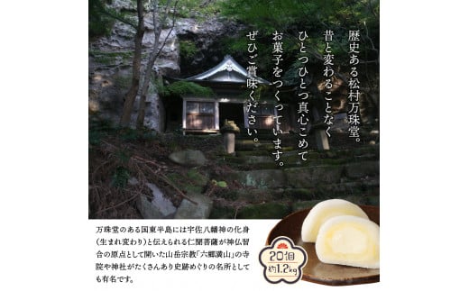 松村万珠堂のチーズ大福20個/約1.2kg_1509R 