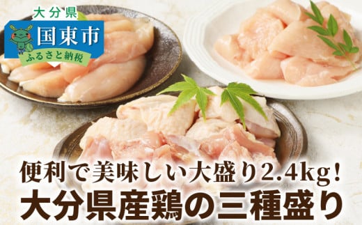 【9月30日で受付終了】便利で美味しい大盛り2.4kg！大分県産鶏の三種盛り_0059N