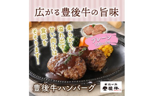 豊後牛ハンバーグ「プレーンとチーズ入り」1kg_1202R