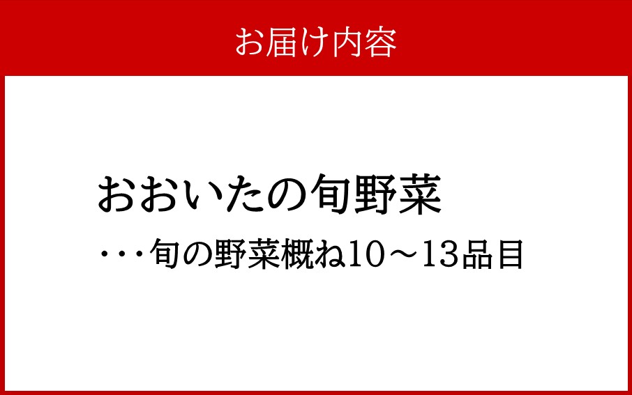 おおいたの旬野菜 10～13品 詰め合わせ_2398R