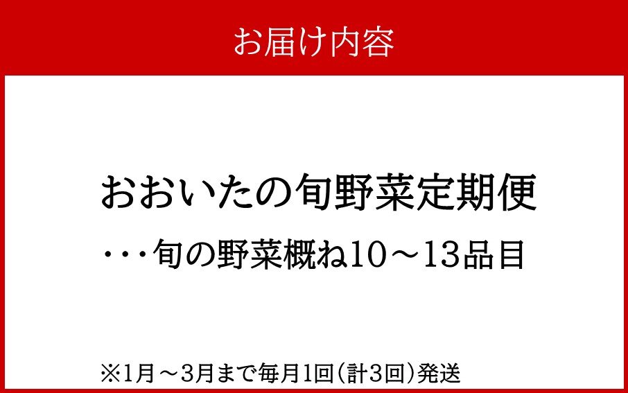 1月からお届け!おおいたの旬野菜定期便/計3回発送_2397R