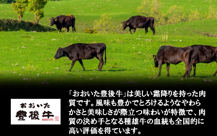 【黒毛和牛】 豊後牛 ／ ローストビーフ200g×2個 (計400g)_2389R