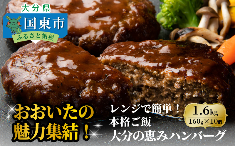 おおいたの魅力集結！大分の恵みハンバーグ 1.6kg（160g×10個）_2146R