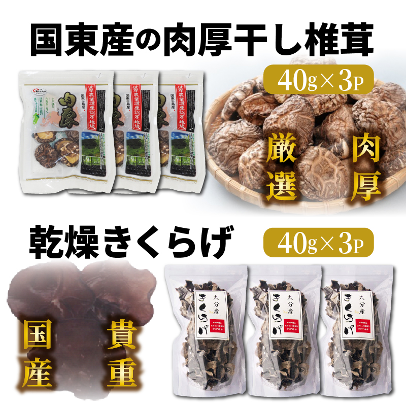 国東産の肉厚干し椎茸（冬菇）＆乾燥きくらげ_29060A