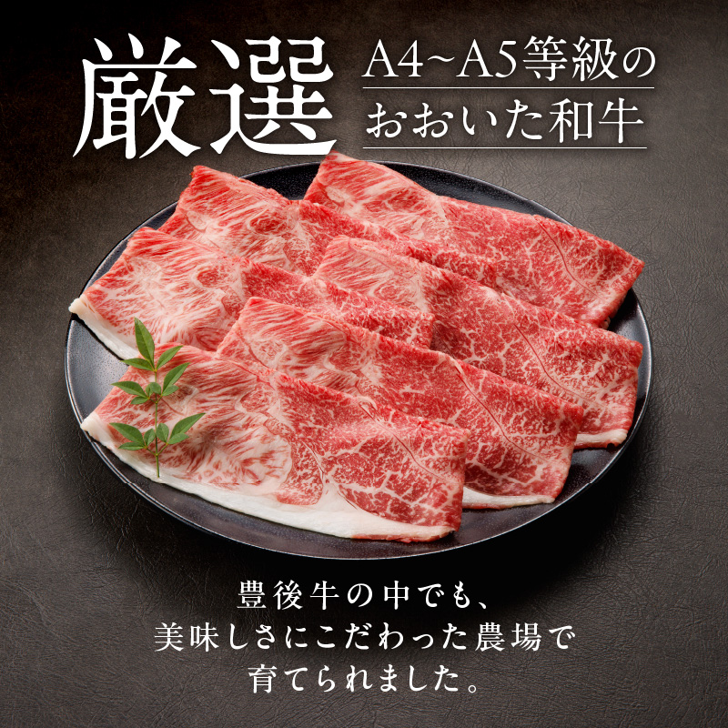 【贈答用】A4～A5等級おおいた和牛ウデ肉スライス400g（1パック）_2419R