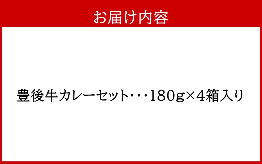 おおいた豊後牛カレー4箱セット_2455R