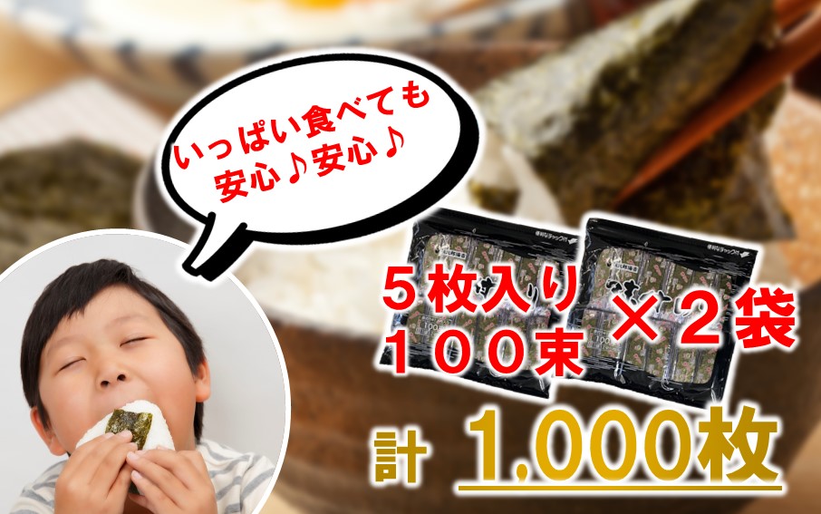 おおいたの味付けのり 1000枚 (12切5枚×100束×2袋) 味付海苔 味のり_2439R