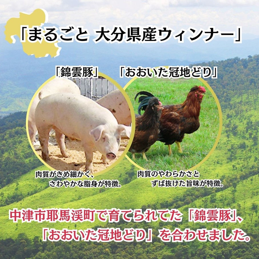 おおいた冠地どり 「ウインナー」 300g/10本入_2484R