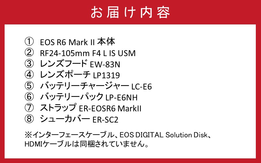 キヤノンミラーレスカメラ EOS R6 MarkⅡ（RF24-105L IS USM レンズキット）_0038C