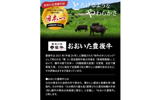 おおいた独り焼肉セット計600g/豊後牛カルビ,モモほか