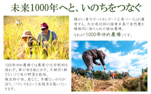 1000年ゆめ農場「柿の葉茶」10包×3パック_1920R