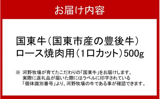 国東牛（国東市産の豊後牛）ロース焼肉用（1口カット）500g_2210R