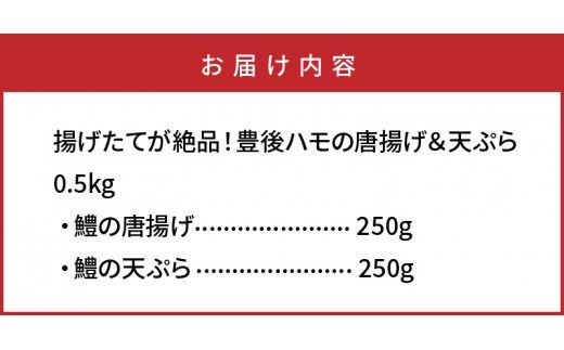 揚げたてが絶品！豊後ハモの唐揚げ＆天ぷら/0.5kg