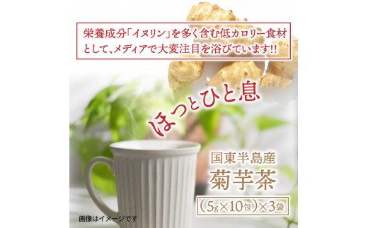 健康を気にするあなたへ！「菊芋茶」_1142R