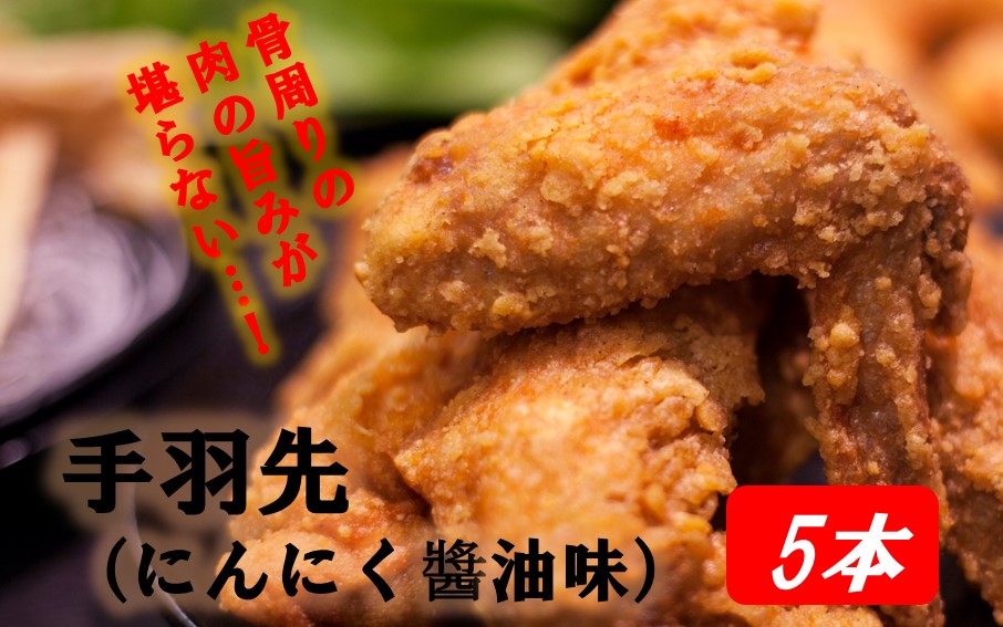 楽しみ色々！ 鶴ちゃん唐揚げ3種セット（にんにく?油味500g・塩味500g・手羽先5本）_2247R