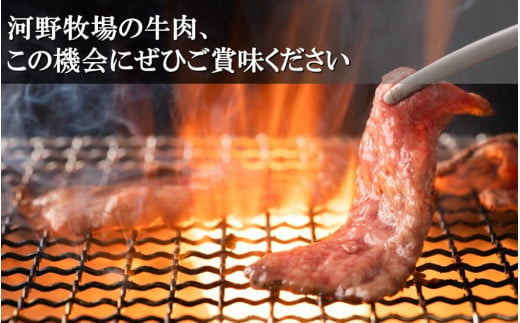 国東牛（国東市産の豊後牛）ロース焼肉用（1口カット）500g_2210R