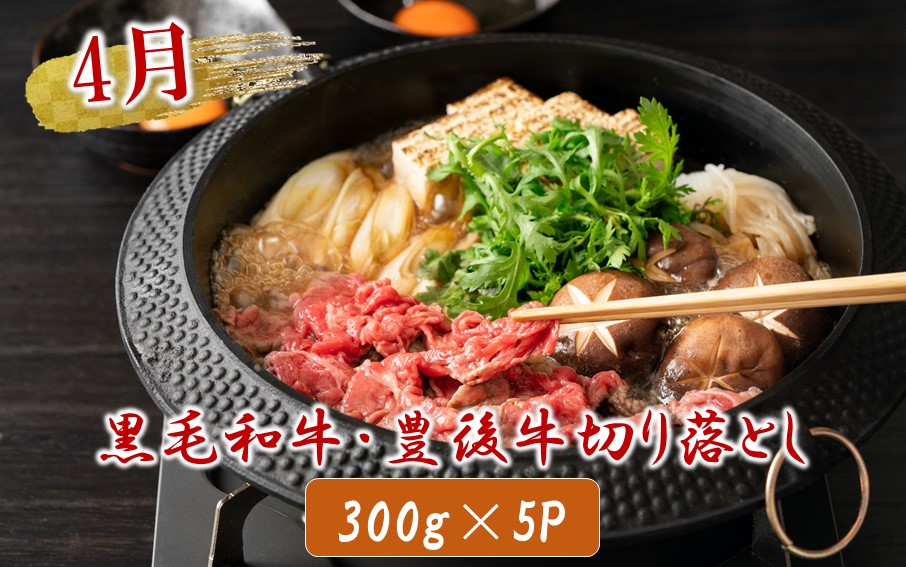 偶数月にお届け!おおいたの美味い肉!ガッツリ食べ尽し1年間定期便/2ヶ月毎計6回発送_2224R