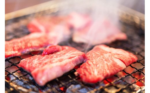 おおいた独り焼肉セット計700g/豊後牛中落ちカルビ,ホルモンほか