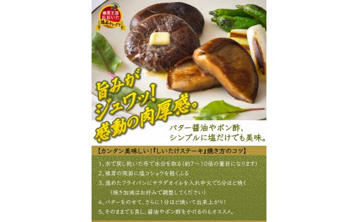 まさに森のアワビ！ステーキ用肉厚乾し椎茸/香?240g