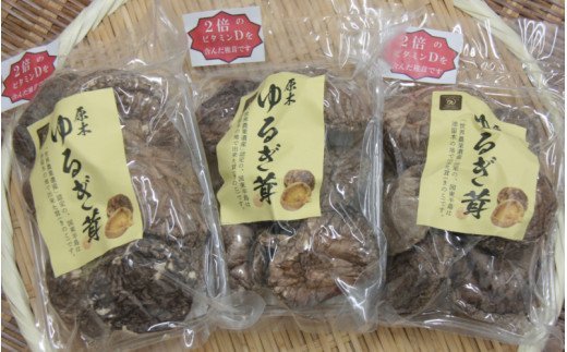 中野屋の油留木乾し椎茸（150g）