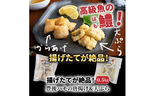 揚げたてが絶品！豊後ハモの唐揚げ＆天ぷら/0.5kg