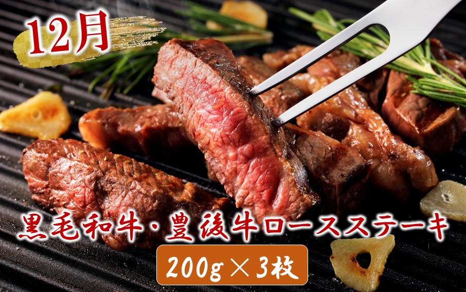 偶数月にお届け!おおいたの美味い肉!ガッツリ食べ尽し1年間定期便/2ヶ月毎計6回発送_2224R