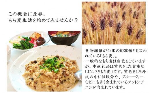 そのまま使える！蒸しむらさきもち麦150g