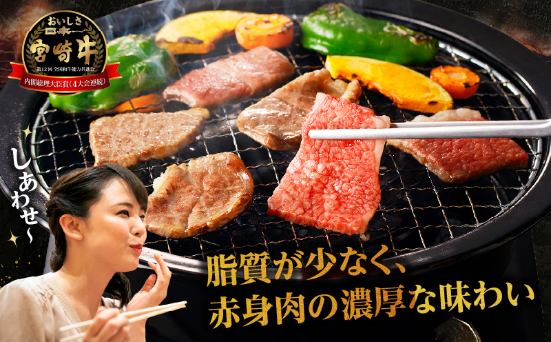 宮崎牛赤身（ウデ）焼肉_M332-002