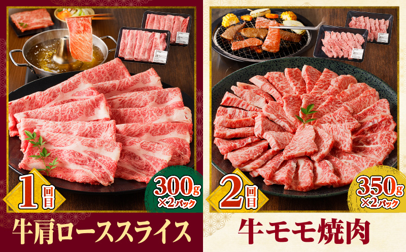 宮崎牛定期便6回（焼肉・すきしゃぶ）_M332-T001