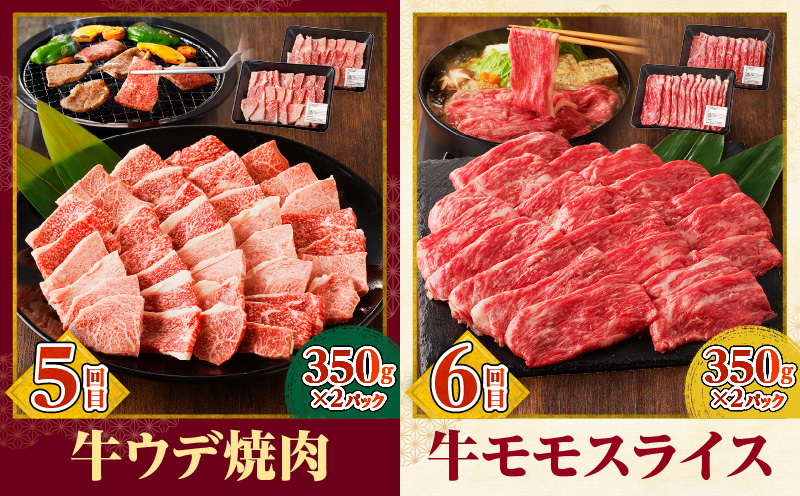 宮崎牛定期便6回（焼肉・すきしゃぶ）_M332-T001