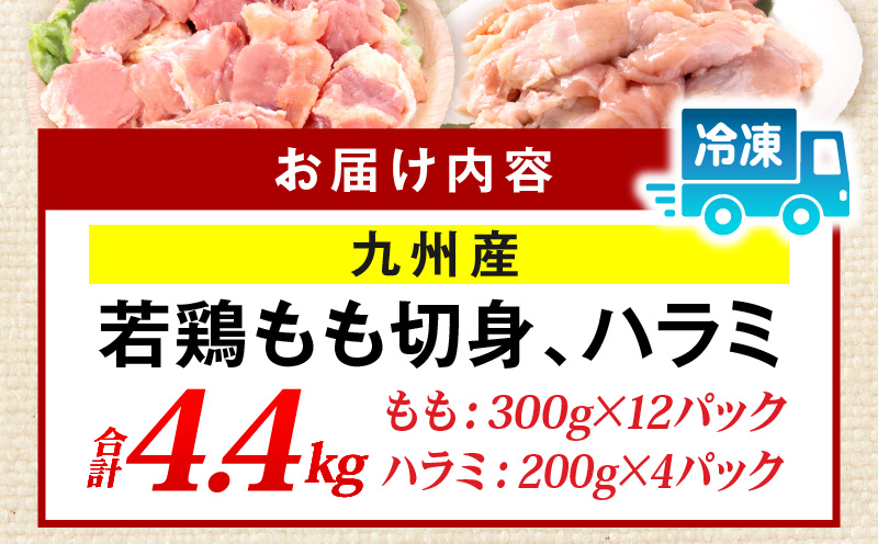 九州産若どり4.4kg小分けセット_M333-003_02