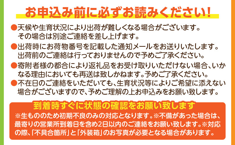 《2025年発送先行予約》【期間・数量限定】3回定期便 完熟マンゴーコース_M354-T004