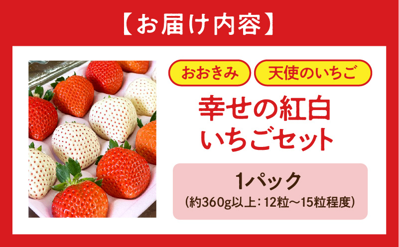 期間・数量限定 宮崎県産 イチゴ 幸せの紅白いちごセット おおきみ