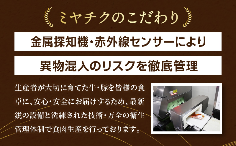 宮崎牛 牛肉 ペッパーハンバーグ100g×3・コロッケ80g×6 2セット_M132