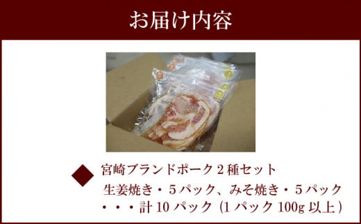 宮崎ブランドポーク2種セット　生姜焼き・味噌焼きセット　計10パック（1パック100g以上）_M199-002