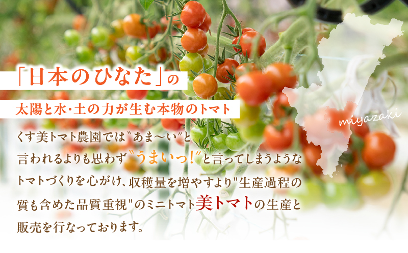 美トマト（5色）２kg_M317-003