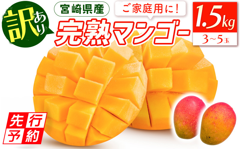 自家用宮崎県産 完熟マンゴー 訳あり 3kg - 果物